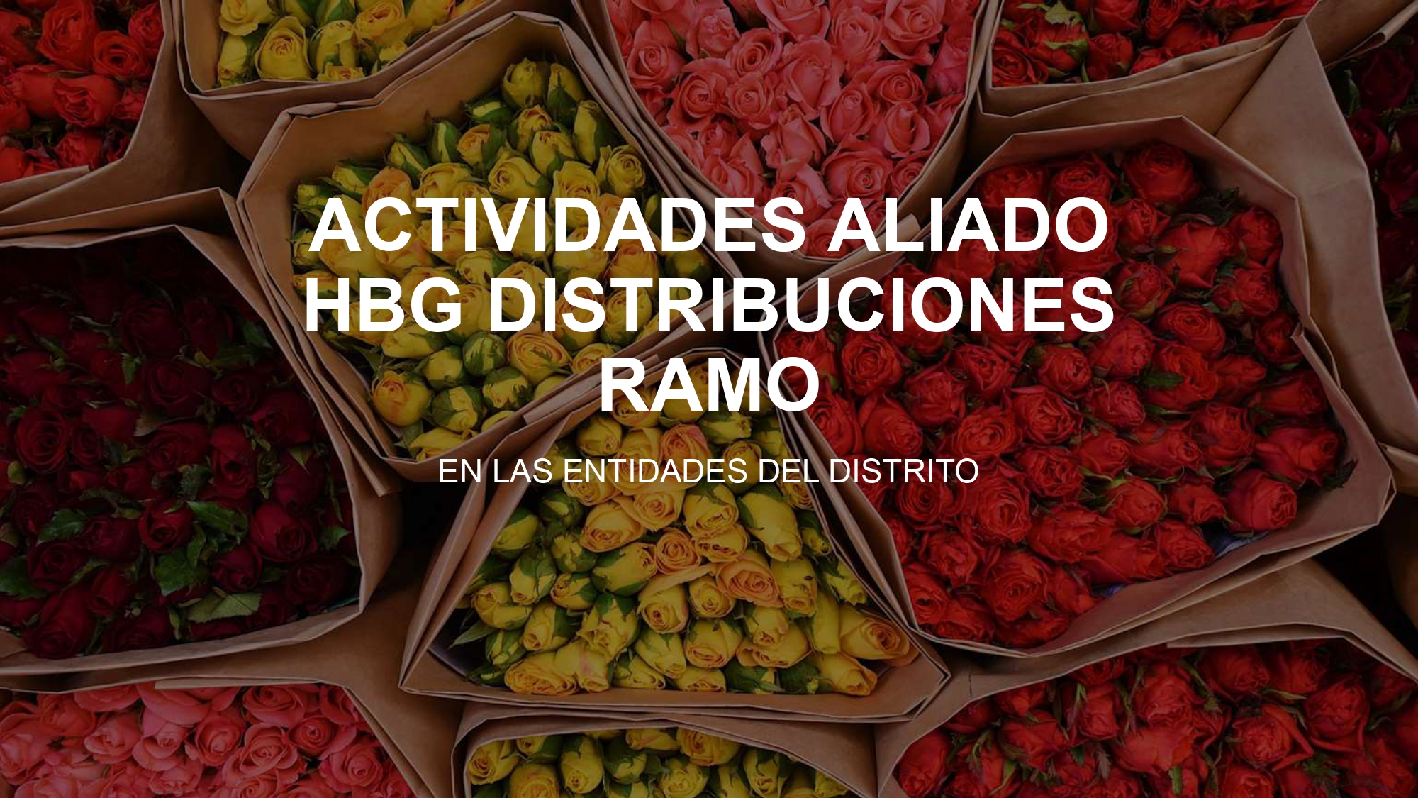 ACTIVIDADES ALIADO HBG DISTRIBUCIONES RAMO (MARZO)