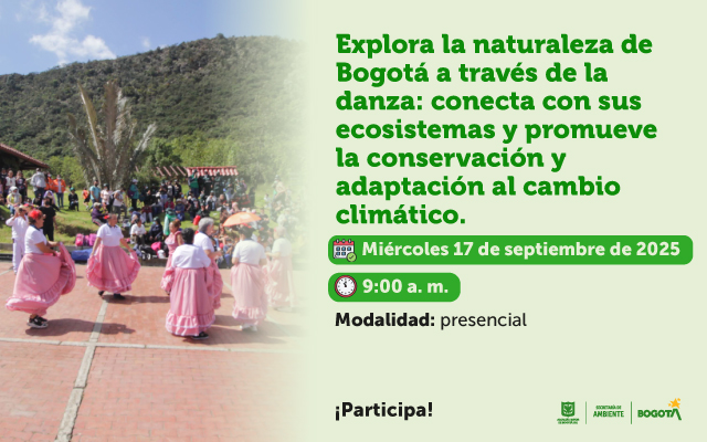 Danzas ambientales 